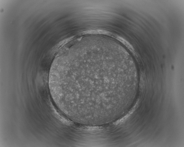 X0000084540849200703091652