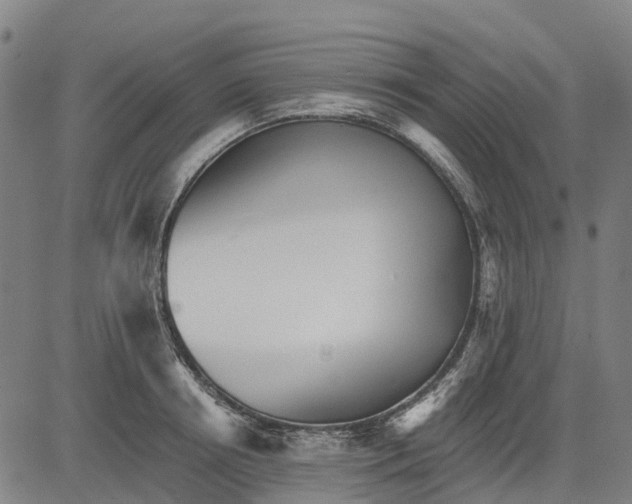 X0000084540850200703091652