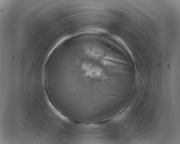 X0000084540851200703091652