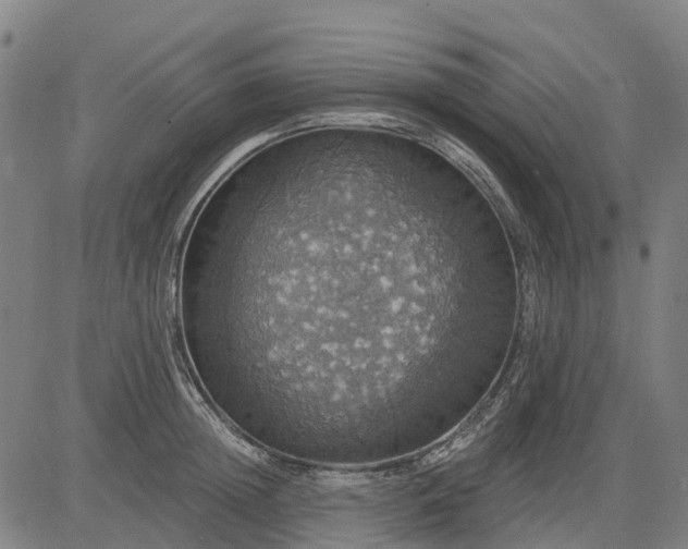 X0000084540852200703091652