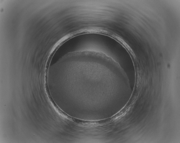 X0000084540853200703091652