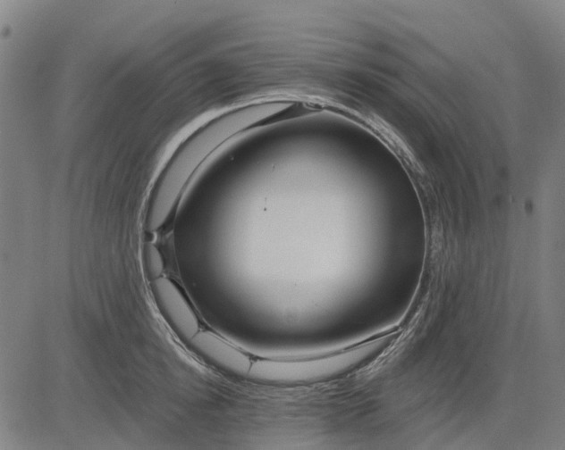 X0000084540854200703091652