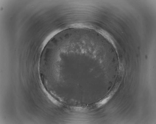 X0000084540855200703091652