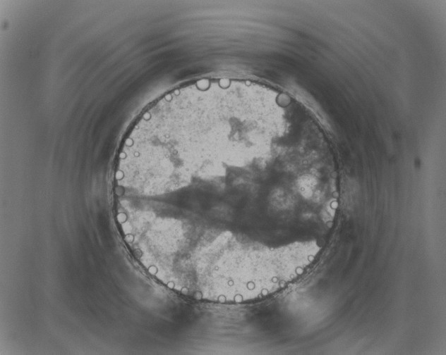 X0000084540856200703091652