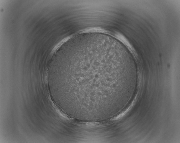 X0000084540857200703091652