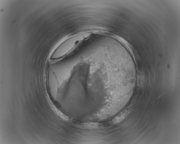 X0000084540859200703091652