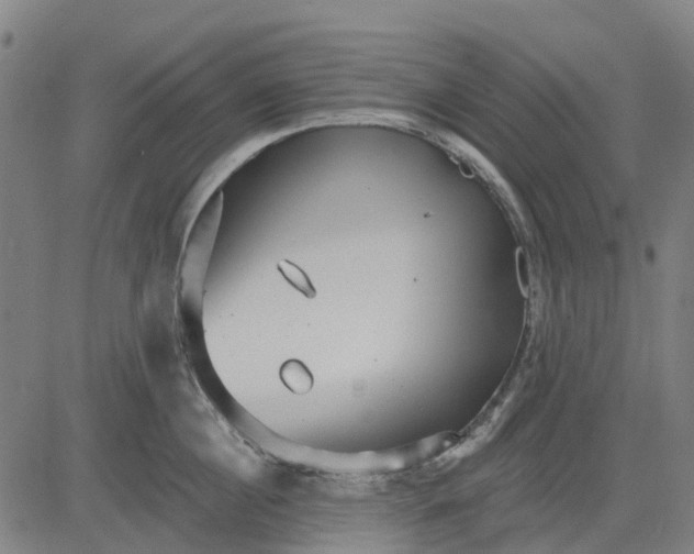 X0000084540860200703091652