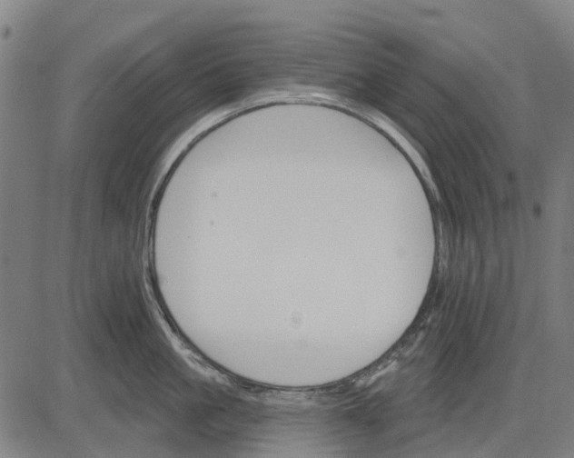 X0000084540861200703091652