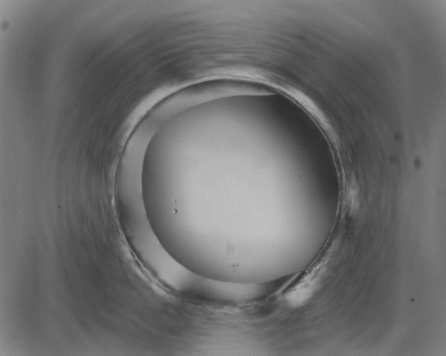 X0000084540862200703091652