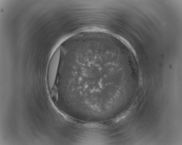 X0000084540863200703091652