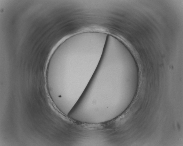 X0000084540864200703091652