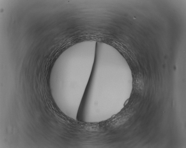 X0000084540865200703091651