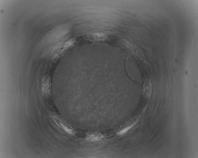 X0000084540866200703091651