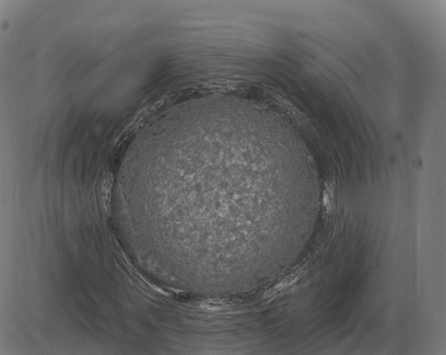 X0000084540867200703091651