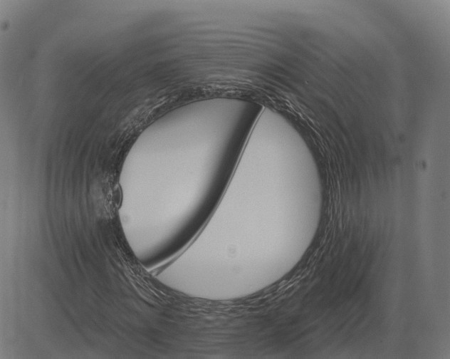 X0000084540868200703091651