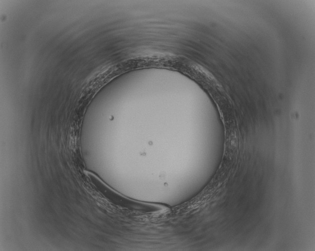 X0000084540869200703091651