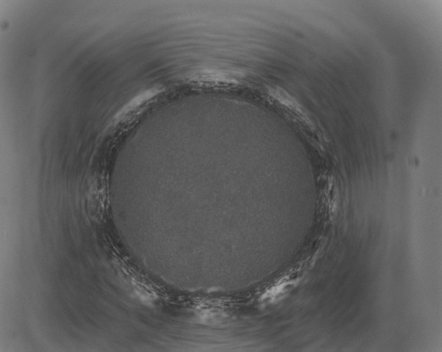 X0000084540870200703091651