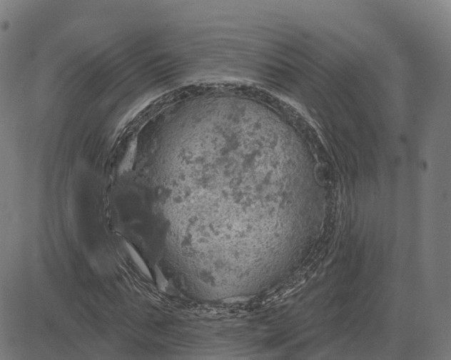 X0000084540871200703091651