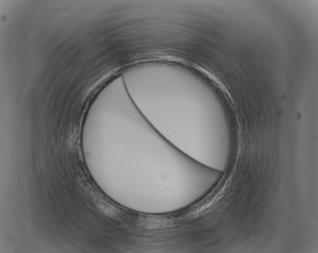 X0000084540873200703091651