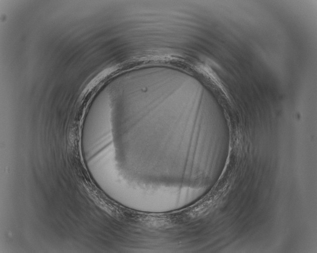 X0000084540874200703091651