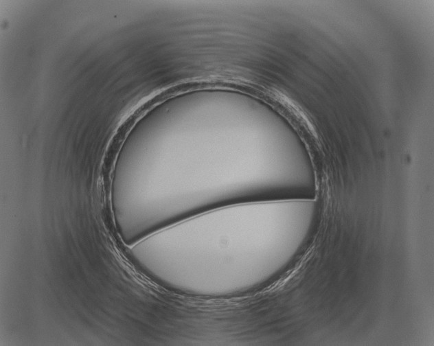 X0000084540876200703091651