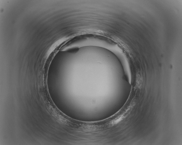 X0000084540877200703091651