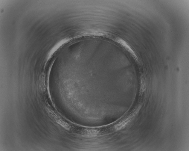 X0000084540878200703091651