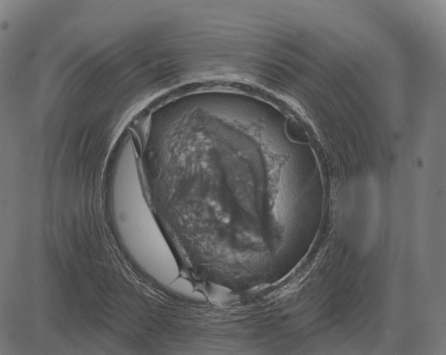 X0000084540879200703091651