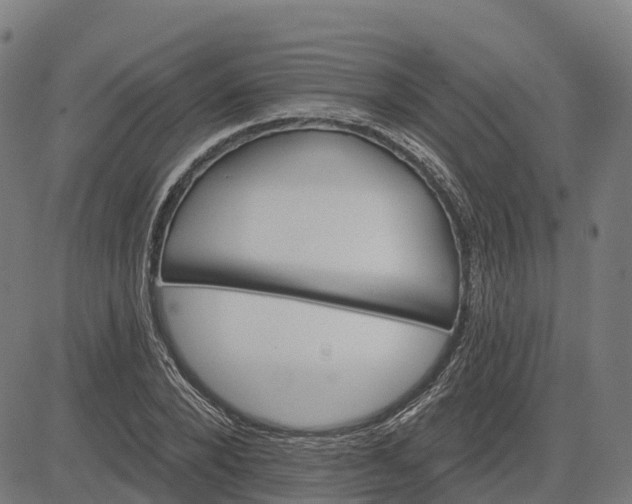 X0000084540880200703091651