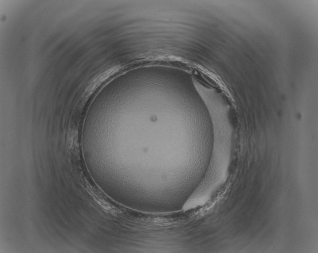 X0000084540881200703091651