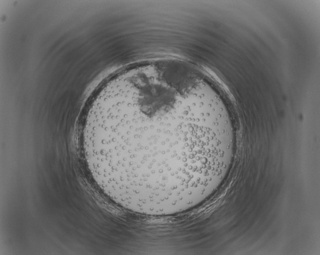 X0000084540883200703091651