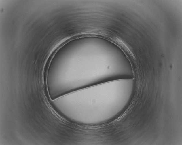 X0000084540884200703091651