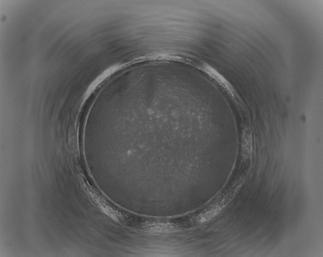 X0000084540886200703091651