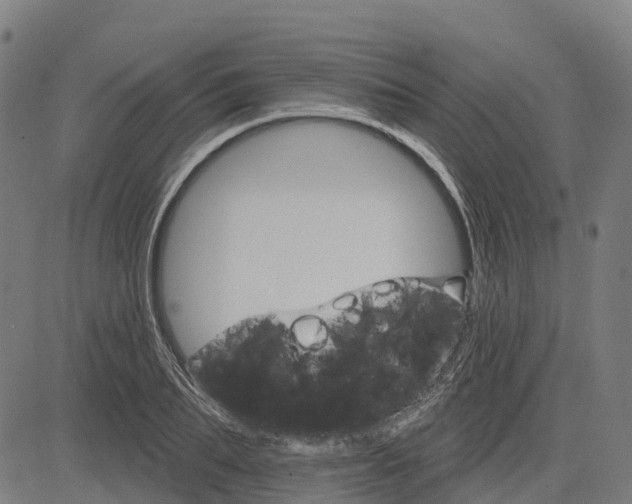 X0000084540887200703091651