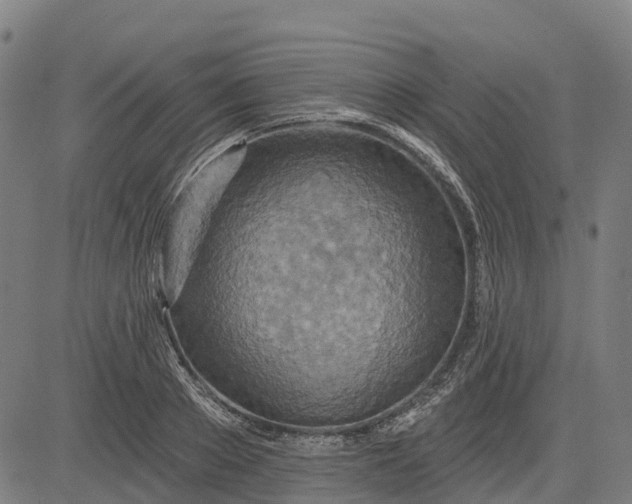 X0000084540889200703091651