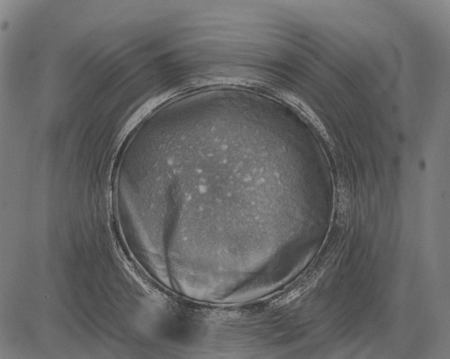 X0000084540890200703091651