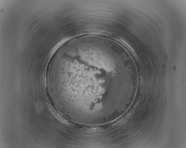 X0000084540891200703091651