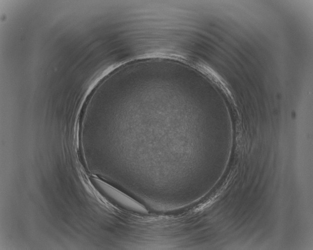 X0000084540892200703091651