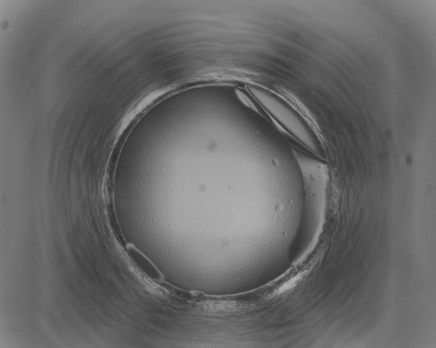 X0000084540893200703091651