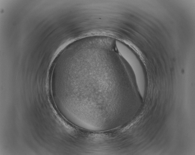 X0000084540894200703091651