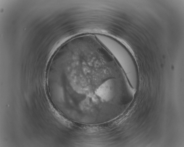 X0000084540895200703091651