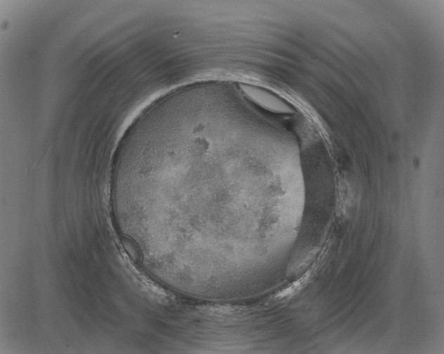 X0000084540896200703091651