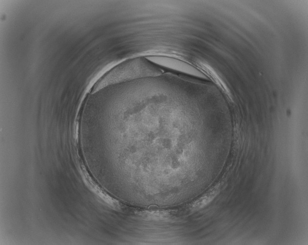 X0000084540900200703091651