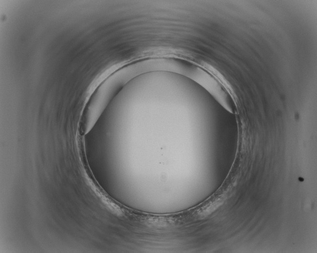 X0000084540901200703091650