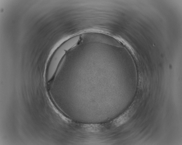 X0000084540902200703091650