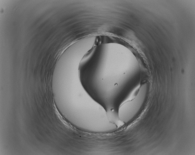 X0000084540905200703091650