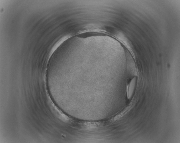 X0000084540906200703091650