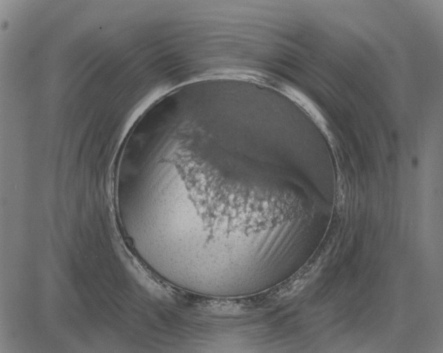 X0000084540907200703091650