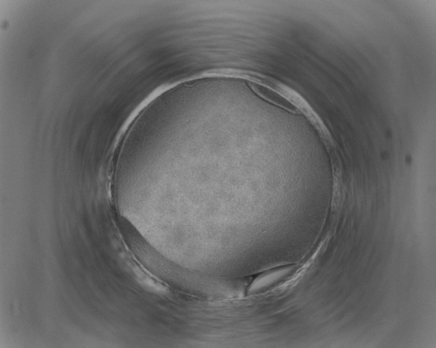 X0000084540908200703091650