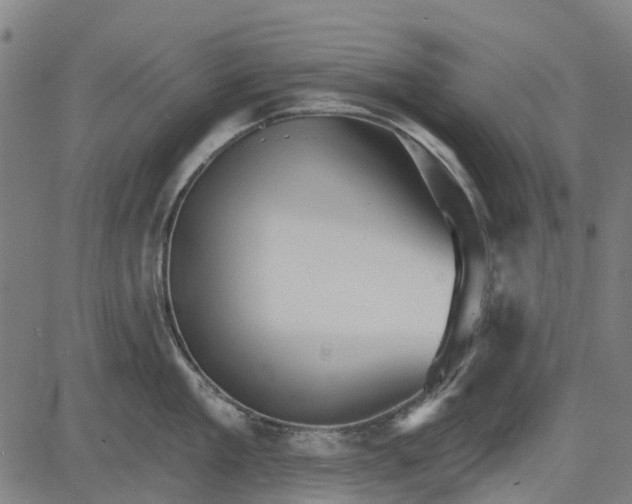 X0000084540909200703091650